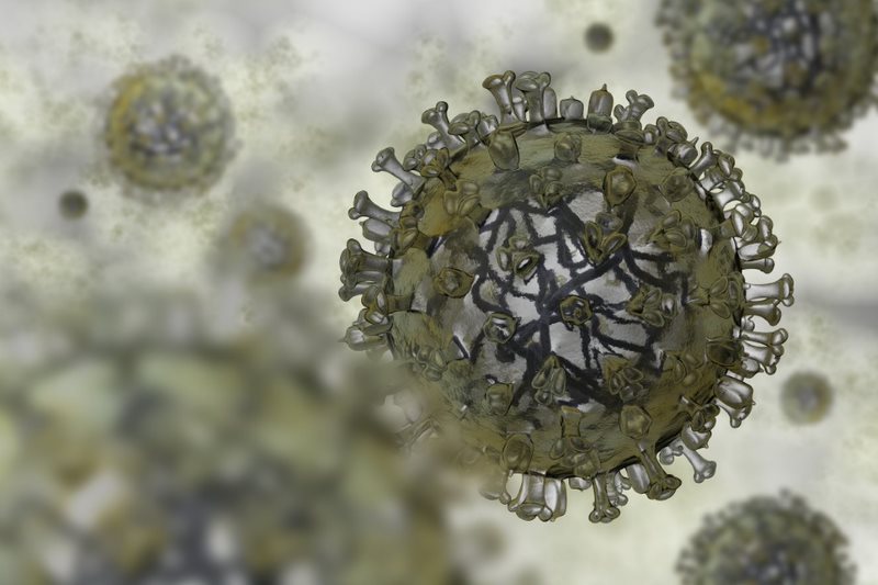 Meningitis Outbreak