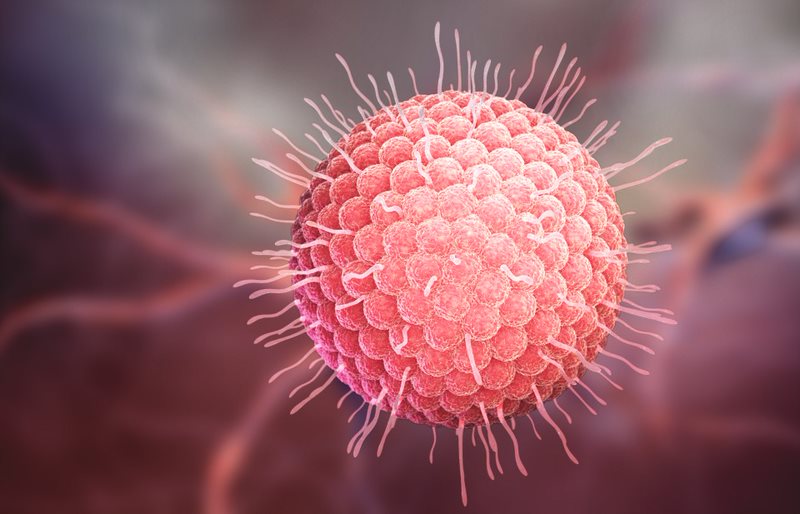 Ebola virus