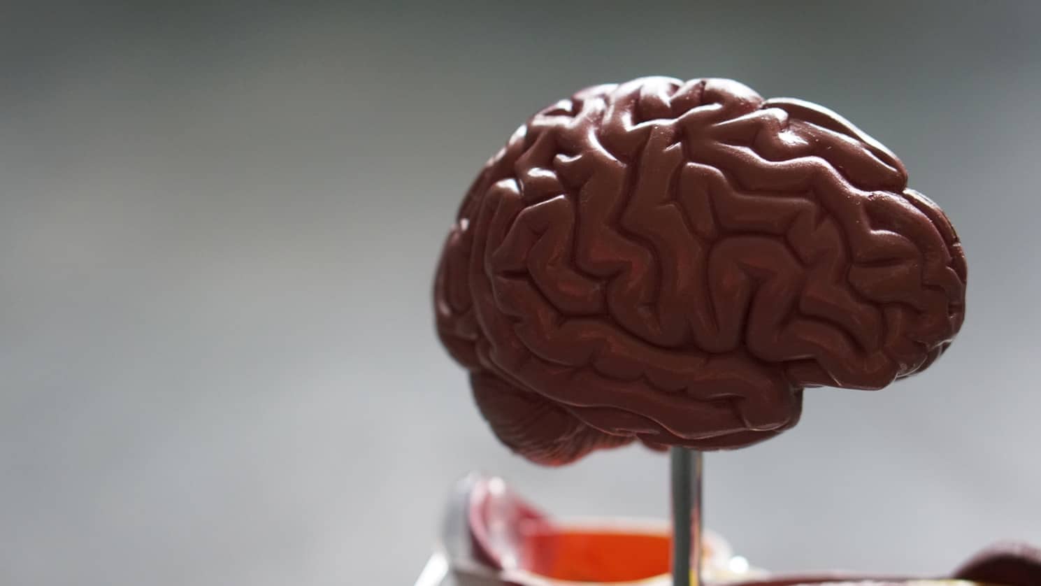 Brain Injury Awareness Month