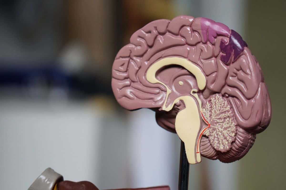 Personal Injury Traumatic Brain Injury