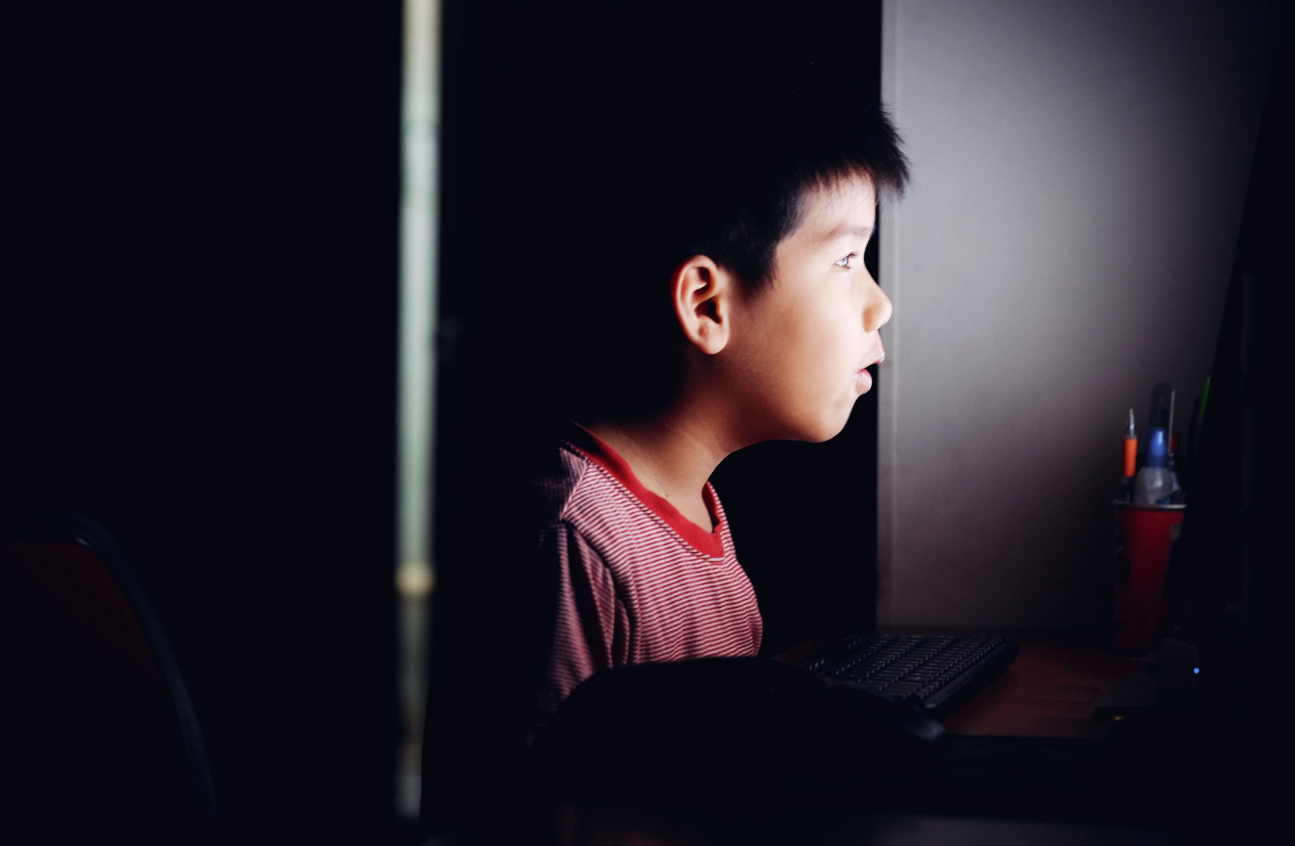 Protecting Your Children from Online Sexual Predators